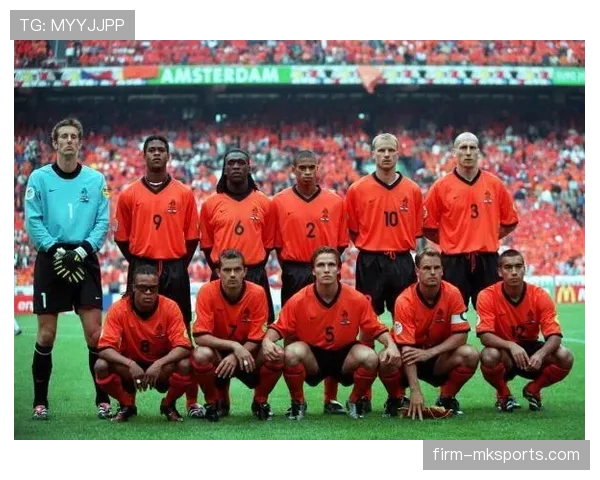 荷兰队在世界杯欧洲区预选赛中表现稳健，关键信息值得关注