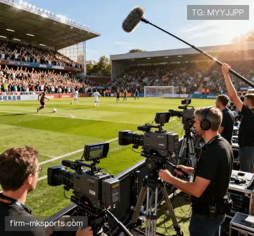 我们的差异化价值